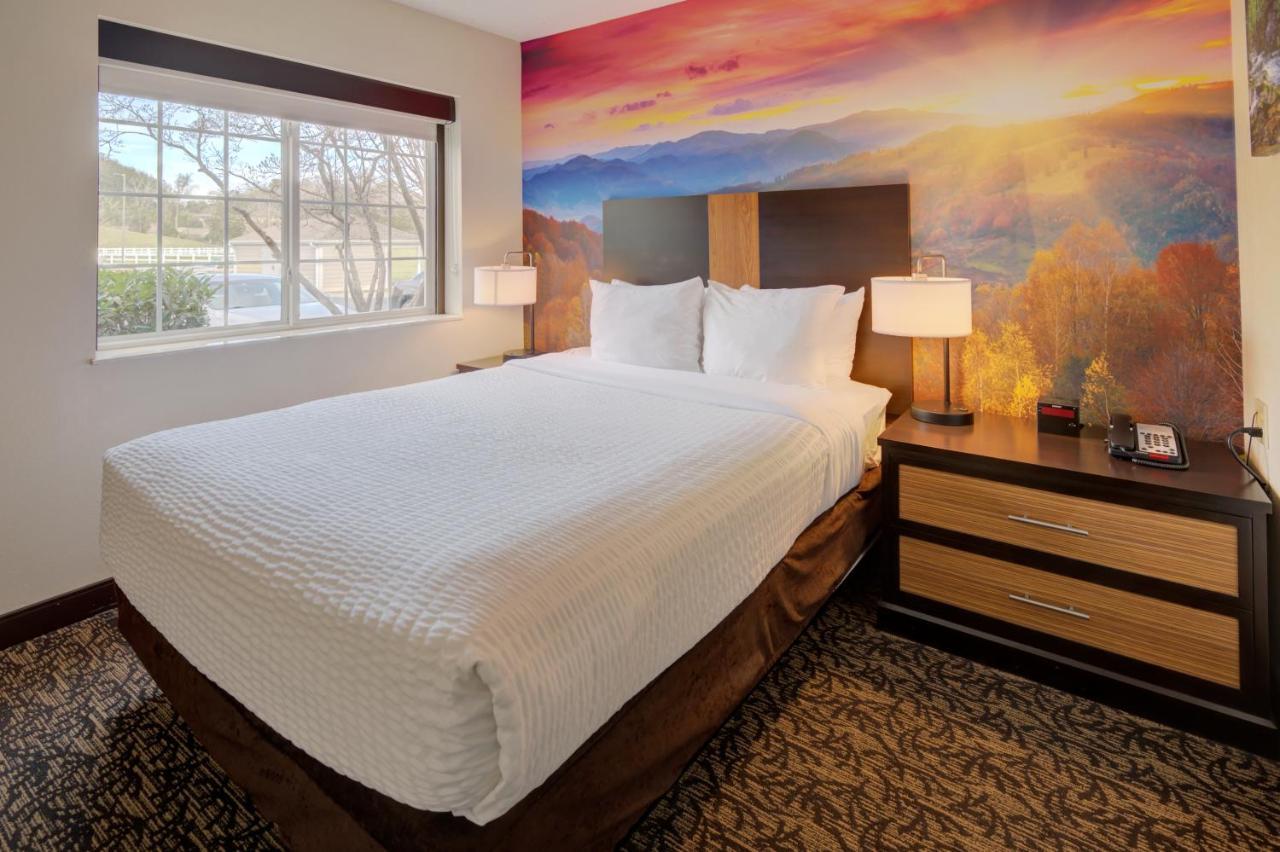 One-Bedroom Suite with One Queen Bed and Sofa Bed,1207102438:JPEG