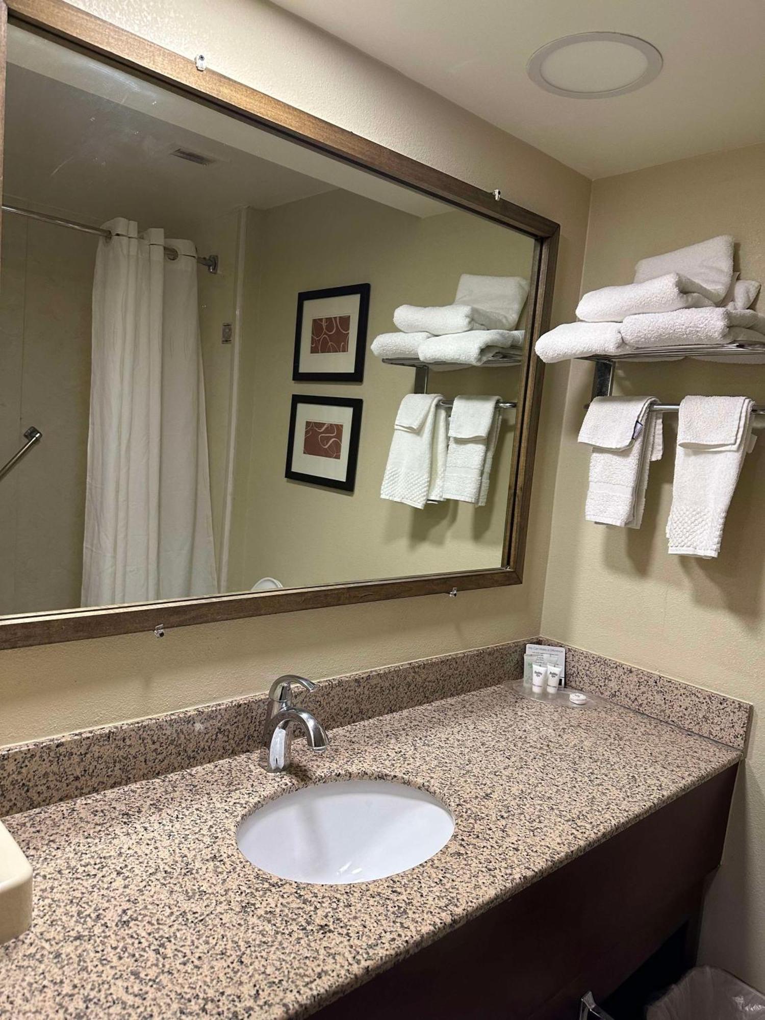 King Suite with Sofa Bed and Balcony - Non-Smoking