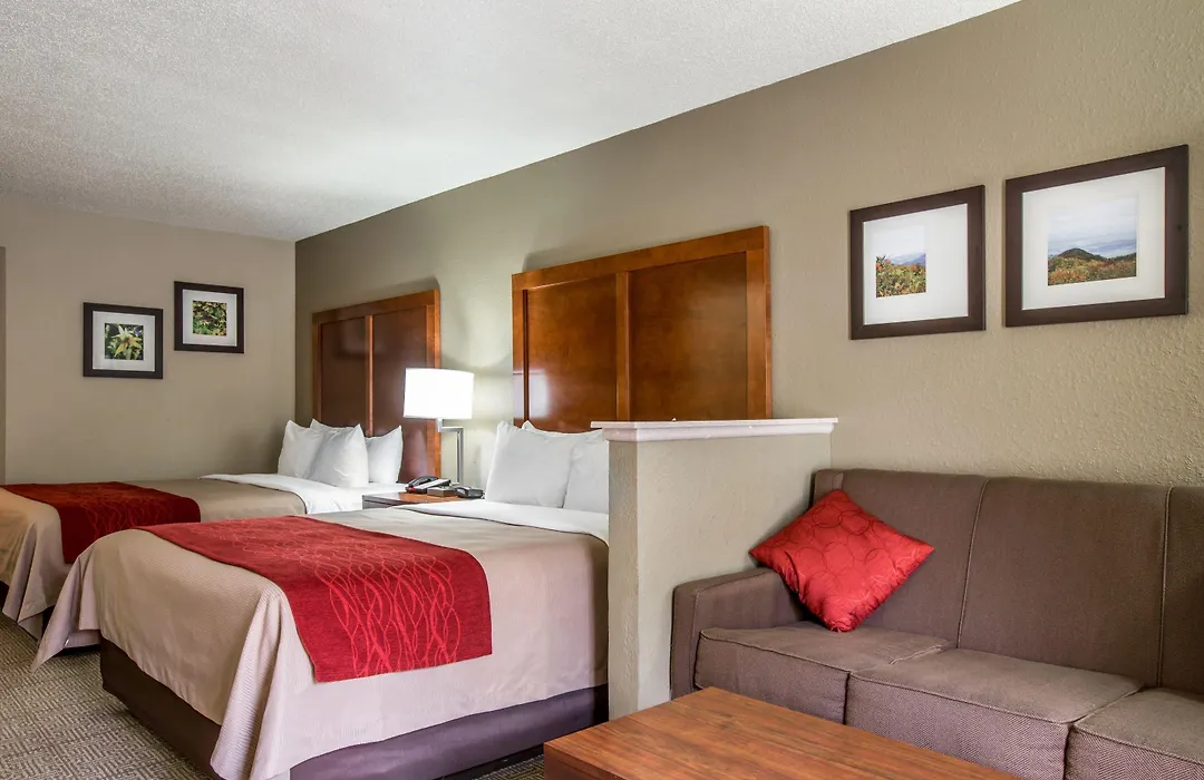 Comfort Inn & Suites At Dollywood Lane-1