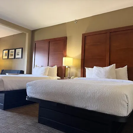 Vista Suites Near Island And Leconte Convention Center-3