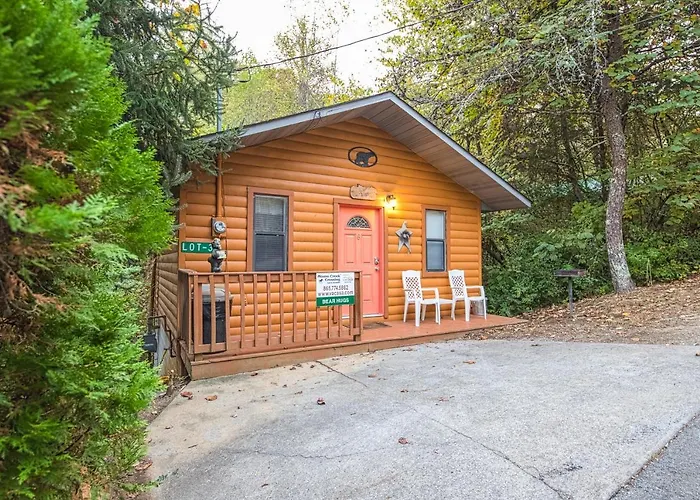Bear Hugs Hotel Pigeon Forge