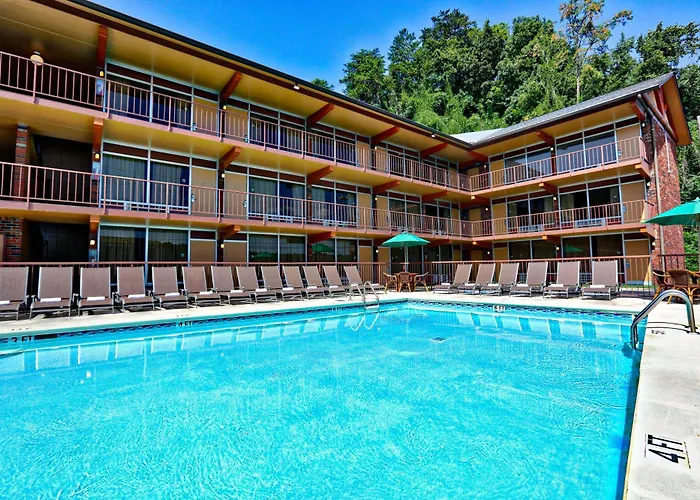 Wild Bear Inn Pigeon Forge