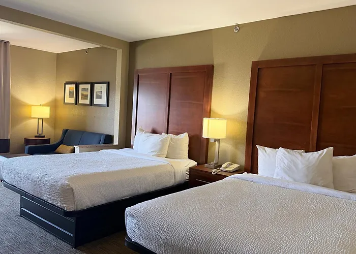 Vista Suites Near Island And Leconte Convention Center Pigeon Forge
